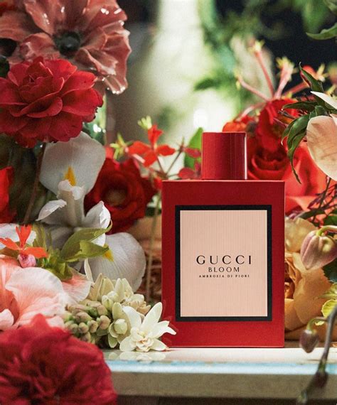 gucci bloom perfume pictures|Gucci Bloom perfume collection.